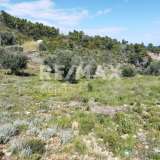  For Sale - (€ 0 / m2), Agricultural 9700 m2 Alonnisos 7750712 thumb2