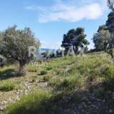  For Sale - (€ 0 / m2), Agricultural 9700 m2 Alonnisos 7750712 thumb4