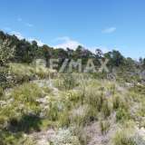  For Sale - (€ 0 / m2), Agricultural 9700 m2 Alonnisos 7750712 thumb6