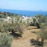  For Sale - (€ 0 / m2), Agricultural 1000 m2 Alonnisos 7750713 thumb5