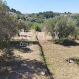  For Sale - (€ 0 / m2), Agricultural 1000 m2 Alonnisos 7750713 thumb1