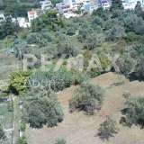  For Sale - (€ 0 / m2), Agricultural 1000 m2 Alonnisos 7750713 thumb6