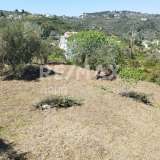  For Sale - (€ 0 / m2), Agricultural 1000 m2 Alonnisos 7750713 thumb0