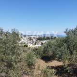  For Sale - (€ 0 / m2), Agricultural 1000 m2 Alonnisos 7750713 thumb2