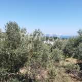  For Sale - (€ 0 / m2), Agricultural 1000 m2 Alonnisos 7750713 thumb3