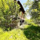  One-story old house with a large garden in the village of Gorno Pavlikene Gorno Pavlikene village 7750763 thumb7