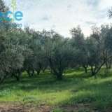 By way of derogation, an even and buildable plot is for sale in Terpsithea Kyparissia of the prefecture of Messinia with a total area of 2560sqm just 320 meters from the sea.Ideal for agricultural exploitation with 90 olive roots.INFORMATION AT : (+30)694 Terpsithea 7550774 thumb0