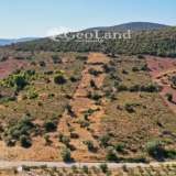  For Sale - (€ 0 / m2), Agricultural 10493 m2 Kranidi 7950889 thumb2