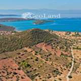  For Sale - (€ 0 / m2), Agricultural 10493 m2 Kranidi 7950889 thumb5