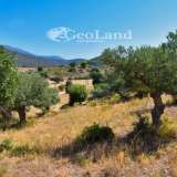  For Sale - (€ 0 / m2), Agricultural 10493 m2 Kranidi 7950889 thumb6