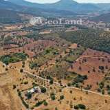  For Sale - (€ 0 / m2), Agricultural 5688 m2 Kranidi 7950890 thumb6