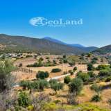  For Sale - (€ 0 / m2), Agricultural 5688 m2 Kranidi 7950890 thumb3