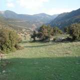  GREAT PIECE OF LAND IN GREECE PARNASSOS MOUNTAIN Parnassos 8050952 thumb8