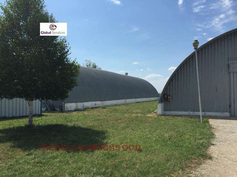 Московская область деревня новомихайловская