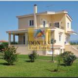  (For Sale) Residential Detached house || Achaia/Aigio - 290 Sq.m, 5 Bedrooms, 560.000€ Aigio 6951207 thumb0