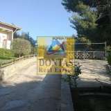  (For Sale) Residential Detached house || East Attica/Polidendri - 340 Sq.m, 5 Bedrooms, 650.000€ Polidendri 7951220 thumb4
