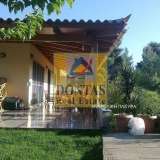  (For Sale) Residential Detached house || East Attica/Polidendri - 340 Sq.m, 5 Bedrooms, 650.000€ Polidendri 7951220 thumb2