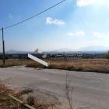  (For Sale) Land Plot || East Attica/Spata - 303 Sq.m, 105.000€ Athens 7651319 thumb0