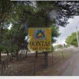  (For Sale) Land Plot || East Attica/Anoixi - 520 Sq.m, 190.000€ Athens 8051037 thumb4