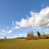  Große landwirtschaftliche Flächen zu verkaufen - Bestens geeignet für Photovoltaikanlangen Bad Blumau 8151436 thumb0