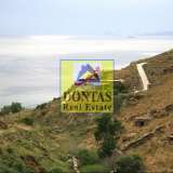  (For Sale) Residential Detached house || Cyclades/Kea-Tzia - 188 Sq.m, 4 Bedrooms, 1.150.000€ Kea 7951902 thumb6