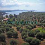  Land for sale, 4070 sq. m., Katsivelia, Neos Marmaras Neos Marmaras 4351917 thumb0