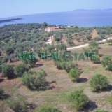  Land for sale, 4070 sq. m., Katsivelia, Neos Marmaras Neos Marmaras 4351917 thumb2
