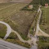  For Sale - (€ 0 / m2), Agricultural 4000 m2 Orfano 8152268 thumb9