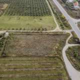  For Sale - (€ 0 / m2), Agricultural 4000 m2 Orfano 8152268 thumb6
