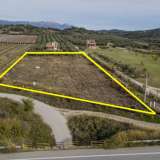  For Sale - (€ 0 / m2), Agricultural 4000 m2 Orfano 8152268 thumb4