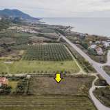  For Sale - (€ 0 / m2), Agricultural 4000 m2 Orfano 8152268 thumb0