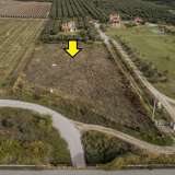  Verkauf - (€ 0 / m2), Agricultural 4000 m2 Orfano 8152268 thumb3