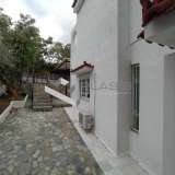  (For Rent) Residential Detached house || East Attica/Koropi - 350 Sq.m, 5 Bedrooms, 3.000€ Athens 7752276 thumb8