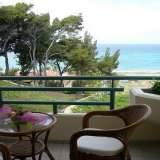  Hotel Resort & Suites 5* in Kassandra Poseidi 7952293 thumb11