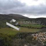  (For Sale) Land Plot || Cyclades/Paros - 18.595 Sq.m, 250.000€ Paros 8152329 thumb8