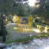  (For Sale) Residential Detached house || Athens North/Ekali - 650 Sq.m, 7 Bedrooms, 3.650.000€ Athens 7752616 thumb2
