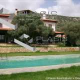  (For Sale) Residential Detached house || East Attica/Anavyssos - 800 Sq.m, 4 Bedrooms, 2.300.000€ Anavyssos 8052728 thumb1
