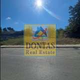  (For Sale) Land Plot || East Attica/Rodopoli - 1.800 Sq.m, 1.000.000€ Athens 7452767 thumb1