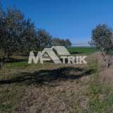 Field_4000_Thessaloniki_-_Suburbs_Mikra_L2760_13_slideshow.jpg