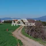 Field_4000_Thessaloniki_-_Suburbs_Mikra_L2760_18_slideshow.jpg