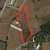  (For Sale) Land Plot || Cyclades/Paros - 6.000 Sq.m, 280.000€ Paros 8153226 thumb0