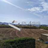  (For Sale) Land Plot || Cyclades/Paros - 2.000 Sq.m, 235.000€ Paros 8153229 thumb4