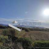  (For Sale) Land Plot || Cyclades/Paros - 2.000 Sq.m, 235.000€ Paros 8153229 thumb5