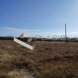  (For Sale) Land Plot || Cyclades/Paros - 2.000 Sq.m, 235.000€ Paros 8153229 thumb3