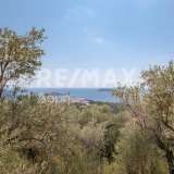  For Sale - (€ 0 / m2), Agricultural 4300 m2 Skiathos 7853298 thumb3