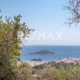  For Sale - (€ 0 / m2), Agricultural 4300 m2 Skiathos 7853298 thumb6