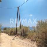  For Sale - (€ 0 / m2), Agricultural 4300 m2 Skiathos 7853298 thumb5