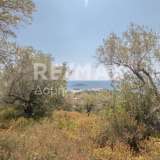  For Sale - (€ 0 / m2), Agricultural 4300 m2 Skiathos 7853298 thumb9