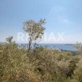  For Sale - (€ 0 / m2), Agricultural 4300 m2 Skiathos 7853298 thumb4