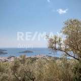 For Sale - (€ 0 / m2), Agricultural 4300 m2 Skiathos 7853298 thumb0